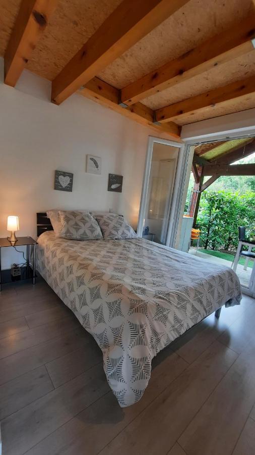 Promo 2-9Juin Gite 6 Personnes Toulouse 7Mn Du Metro 4 Lits Terrasses Gragnague 外观 照片